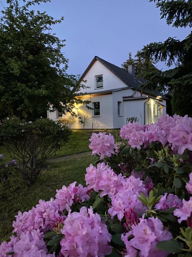 Gemuetliches Ferienhaus Spremberg Exterior foto